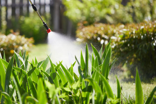 24/7 Emergency Termite Control experts in Nikiski, AK