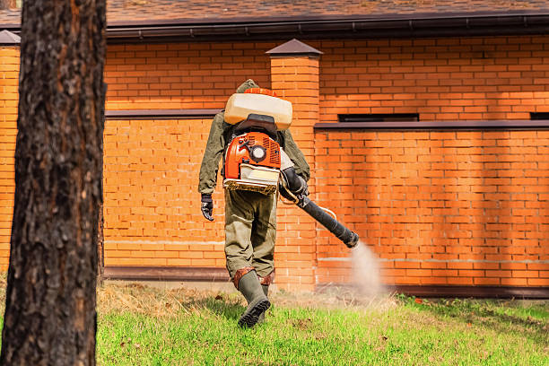 Top rated local Termite Control specialists in Nikiski, AK
